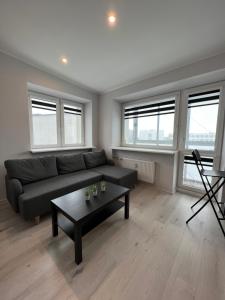 Akmene Center Apartment