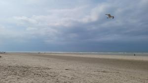 Maisons de vacances Gite La Talance Aux portes de la Baie de Somme : photos des chambres