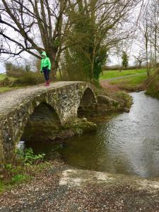 B&B / Chambres d'hotes Les Maitres Sonneurs : photos des chambres