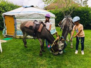 B&B / Chambres d'hotes Les Maitres Sonneurs : photos des chambres