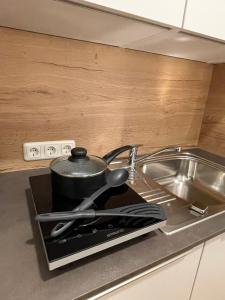 Bergglück - gemütliches Appartement am Traunsee