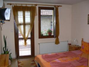 Single Room room in Family Hotel Varusha