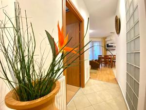 Downtown Vibe-Király II apts w private balcony