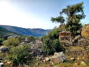 Casa Rural Las Lanchas