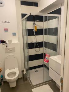 joli petit nid douillet en centre ville