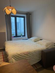 joli petit nid douillet en centre ville