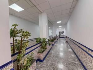 Holidays2Malaga Plaza de Toros Vieja & terrace & optional parking