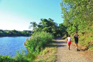 Appartements Bel appartement cosy dans residence avec piscine 5 minutes plage : Appartement 1 Chambre
