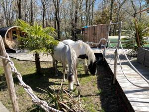 B&B / Chambres d'hotes Au Bois Flotte : photos des chambres