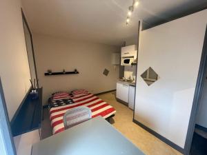 Appartements Studio agreable et lumineux : photos des chambres