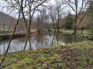 B&B / Chambres d'hotes Le Moulin Aux Ecrevisses : photos des chambres