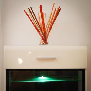 Charming Apartment in Novigrad, 45 sqm, with Terrace