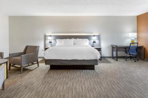 King Suite with Jacuzzi - Non Smoking room in Holiday Inn Express Paramus an IHG Hotel