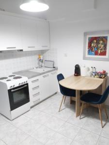 Lux apartment downtown