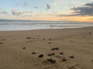 Paradise Huatulco Condo TANGOLUNDA BEACH