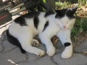 Stadel Hof Altötting