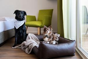 Schnitzers Dahoam - Hundefreundlich