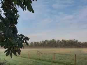 Great Sampford B&B Sorrells farm