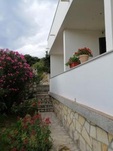 Apartmani Ljiljana