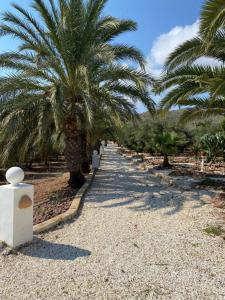 Cortijo Torreblanca - 7 personas