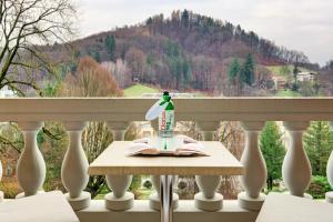 Suite with Park View room in Hotel Aleksander Medical & SPA