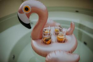 Domek nad stawem RODOS