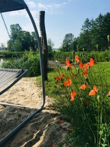 Domek nad stawem RODOS