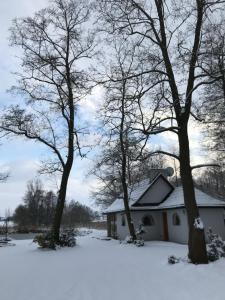 Domek nad stawem RODOS