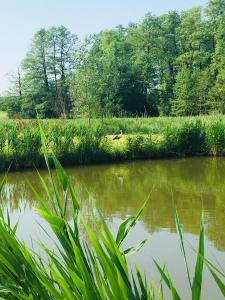 Domek nad stawem RODOS