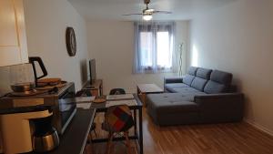 Appartements Appartement T2 45 M2 Meuble 3 etoiles tout confort hyper centre de Dax : photos des chambres