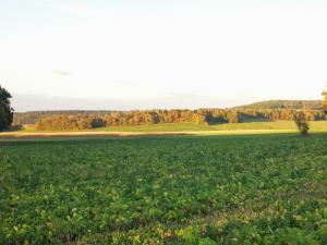 Sejours chez l'habitant La Mirabelle des 3 Forets : photos des chambres