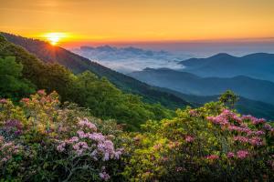 Haywood Chic Retreat Unit 215