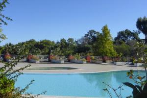 Apartment in Cannes with Sea View
