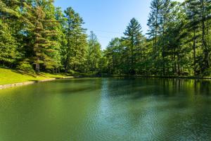 Bull Creek Peaceful Escape