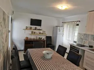 Vila primitoare,incalzire centrala, trei dormitoare, living, baie cu cada cu hidromasaj, bucatarie-living separata de casa, casuta de gradina, curte, gratar - 阿祖加