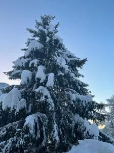 Chalet la poipia - Villard-sur-Doron