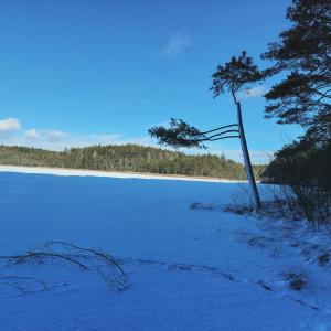 Domek nad Marychą Zelwa