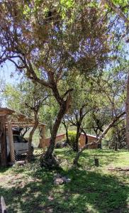 Cabañas de montaña "Alquimia en Las Cascadas"