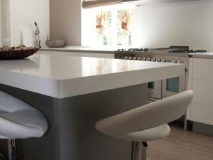 Mansion in Nijensleek with Sauna & Garden