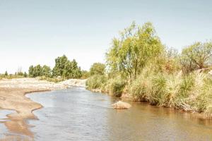 River House Diamante