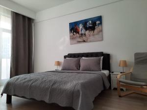 Luxury City Center Apartment – Garofita Romana
