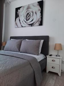 Luxury City Center Apartment – Garofita Romana