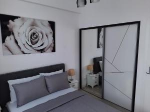 Luxury City Center Apartment – Garofita Romana