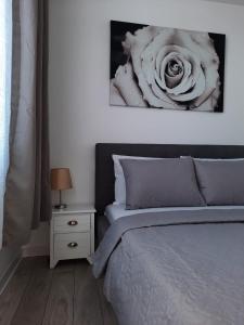 Luxury City Center Apartment – Garofita Romana