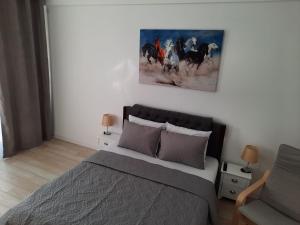 Luxury City Center Apartment – Garofita Romana