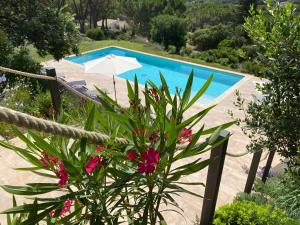 Maisons de vacances DOMAINE DE LA COLLINE- compose de 2 villas jumelees louees ensemble, 8 ch,16 pers -Cadre enchanteur - Piscine cloturee-RAMATUELLE : photos des chambres