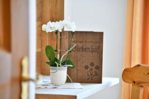 Birkenhof - Wohnung Bichel