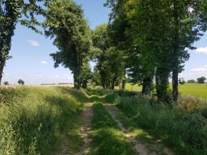 B&B / Chambres d'hotes La Vieille Gorce Gites in the Vienne : photos des chambres