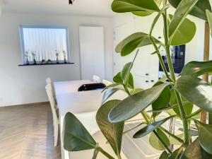 Vakantiewoning Y - Mind Beach House
