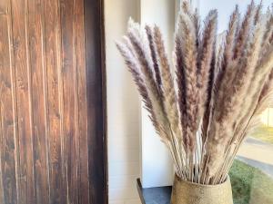 Vakantiewoning Y - Mind Beach House